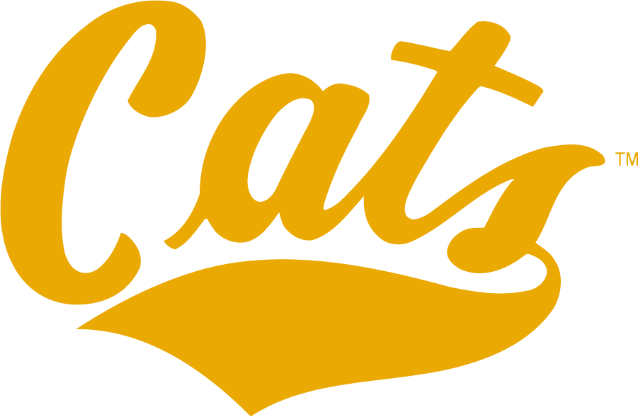 Montana State Bobcats 2006-2013 Wordmark Logo iron on transfers for T-shirts
